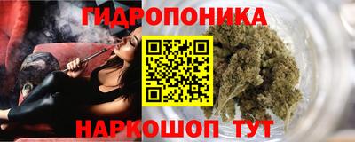 хмурый Малоярославец
