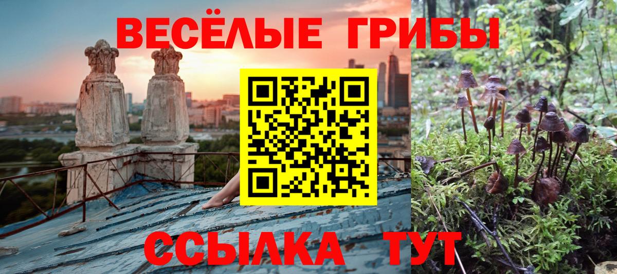Галлюциногенные грибы мухоморы Торжок